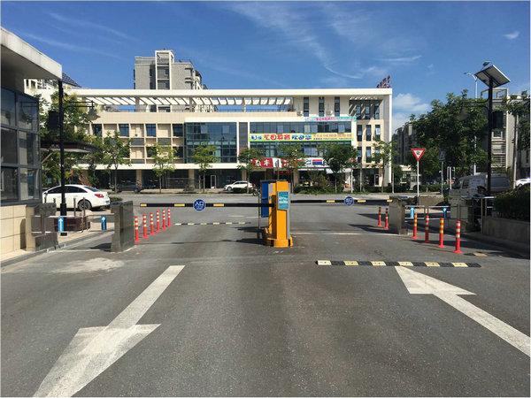 人脸识别门禁道闸